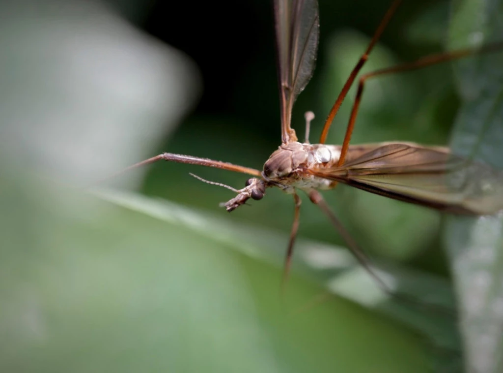 282494_shutterstock-2459285581_f.webp
