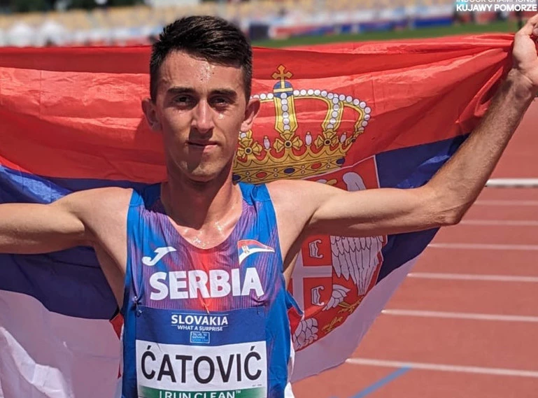 368247_catovic_f.webp