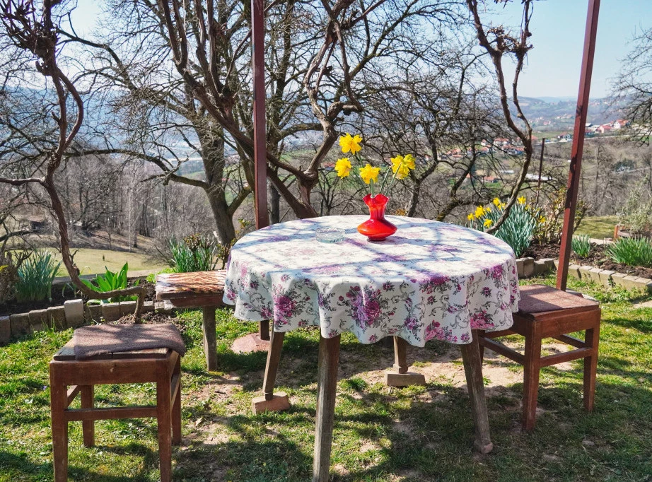 369153_sevojno-porodicarakovic-vucic_f.webp