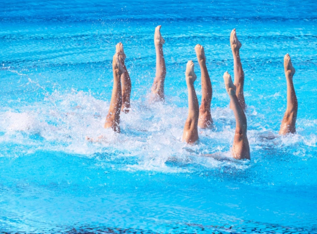 372367_shutterstock-2483620637_f.webp