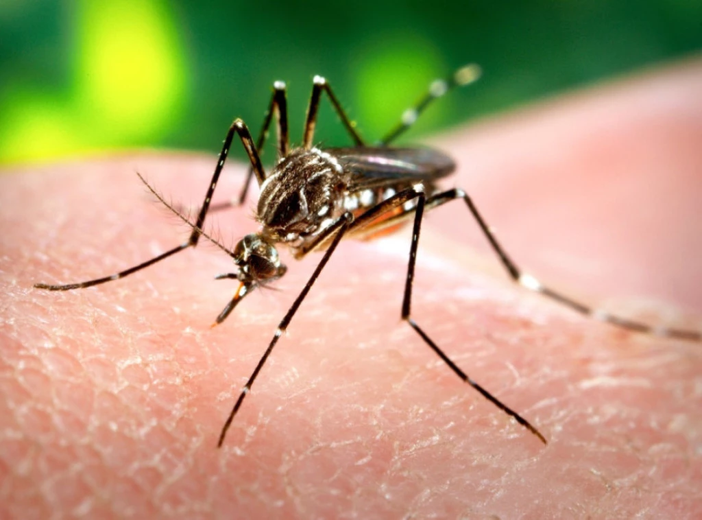 394523_shutterstock-2597884423_f.webp