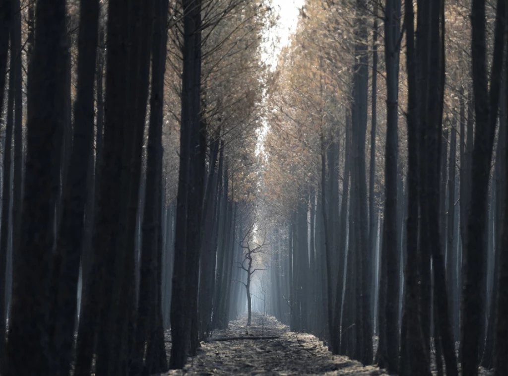 410971_aptopix-france-wildfires_f.webp