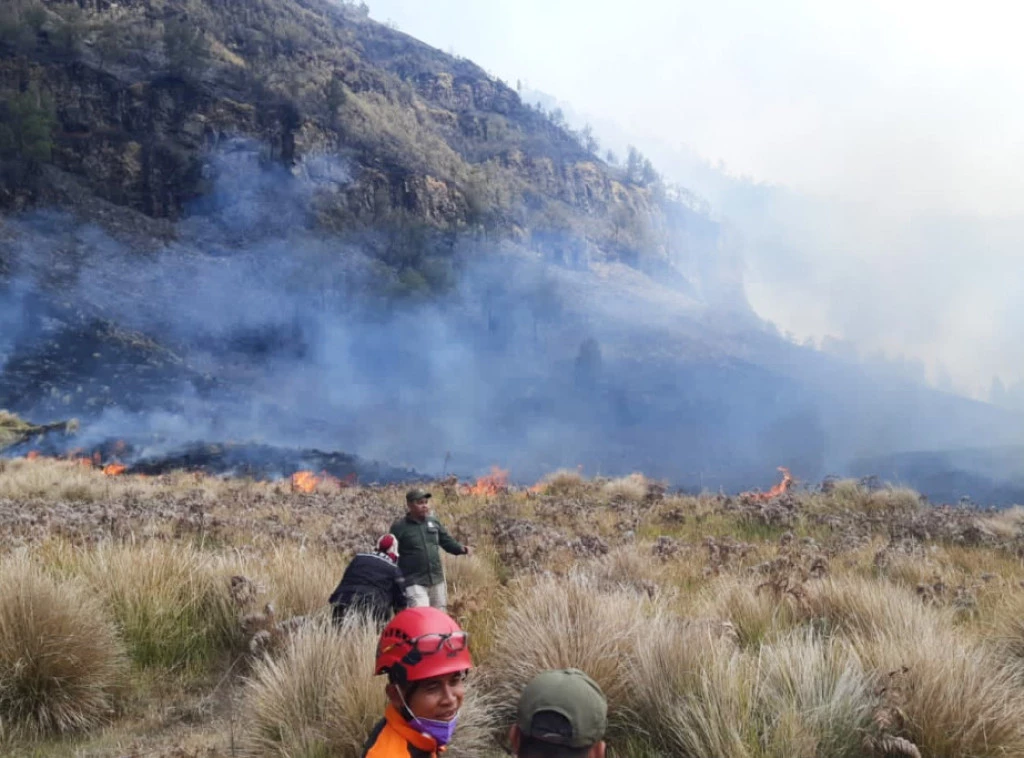 412463_indonesia-wildfire_f.webp