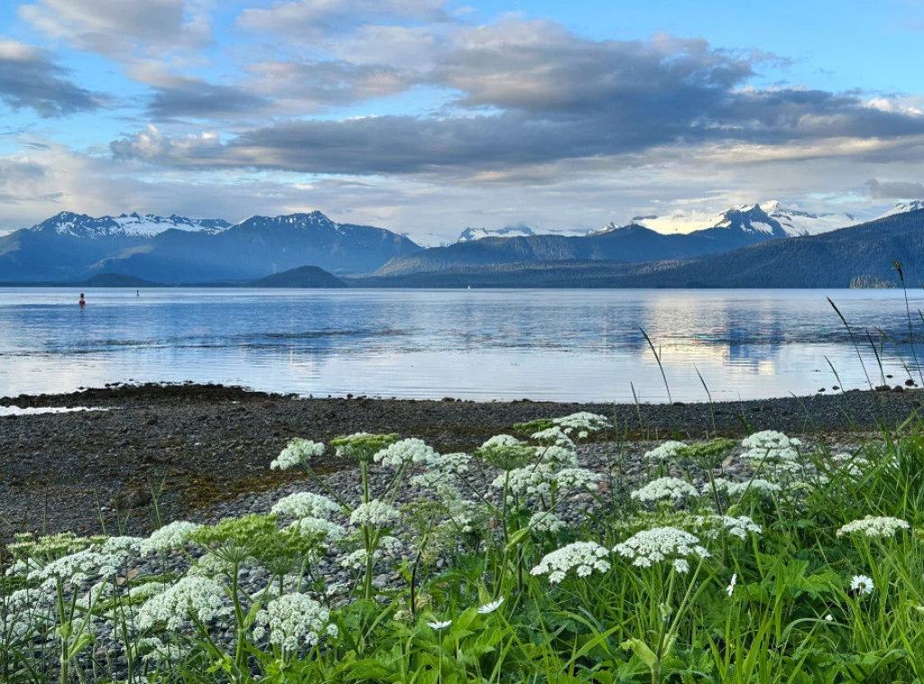 413652_election-2026-alaska_f.webp
