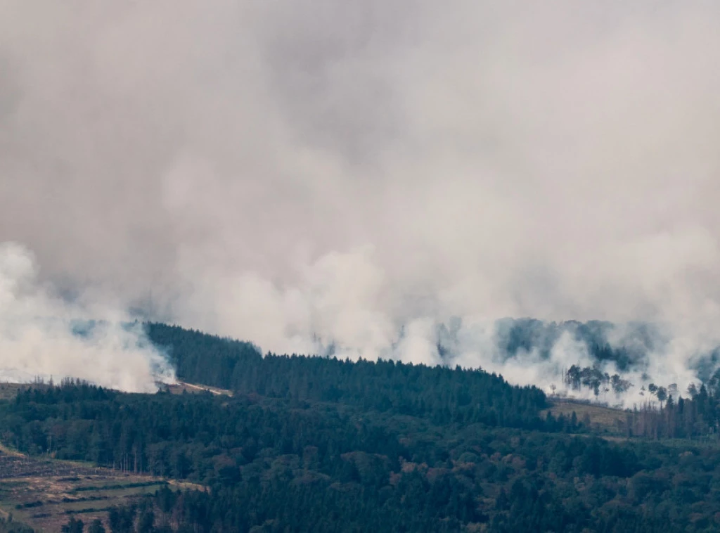 414301_germany-belgium-europe-wildfires_f.webp